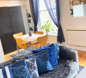 Beautiful Apartment in Temple Bar